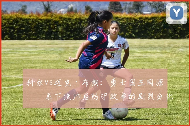 科尔vs迈克·布朗：勇士国王同源体系下换帅后防守效率的剧烈分化